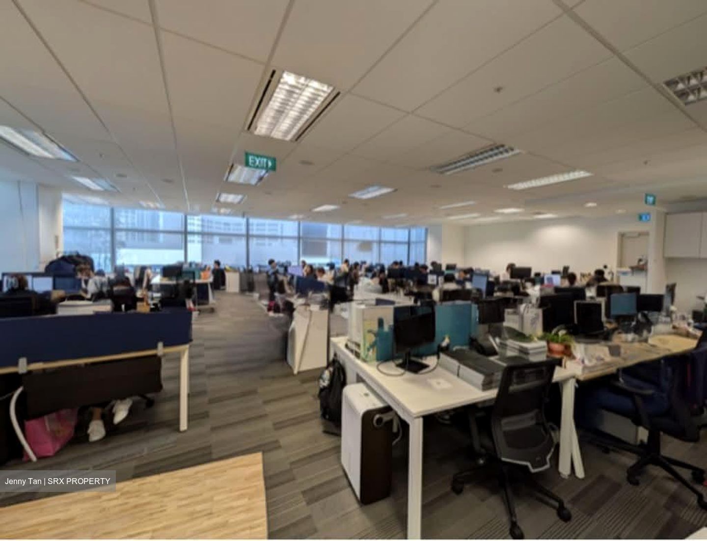 Velocity @ Novena Square (D11), Office #544547741
